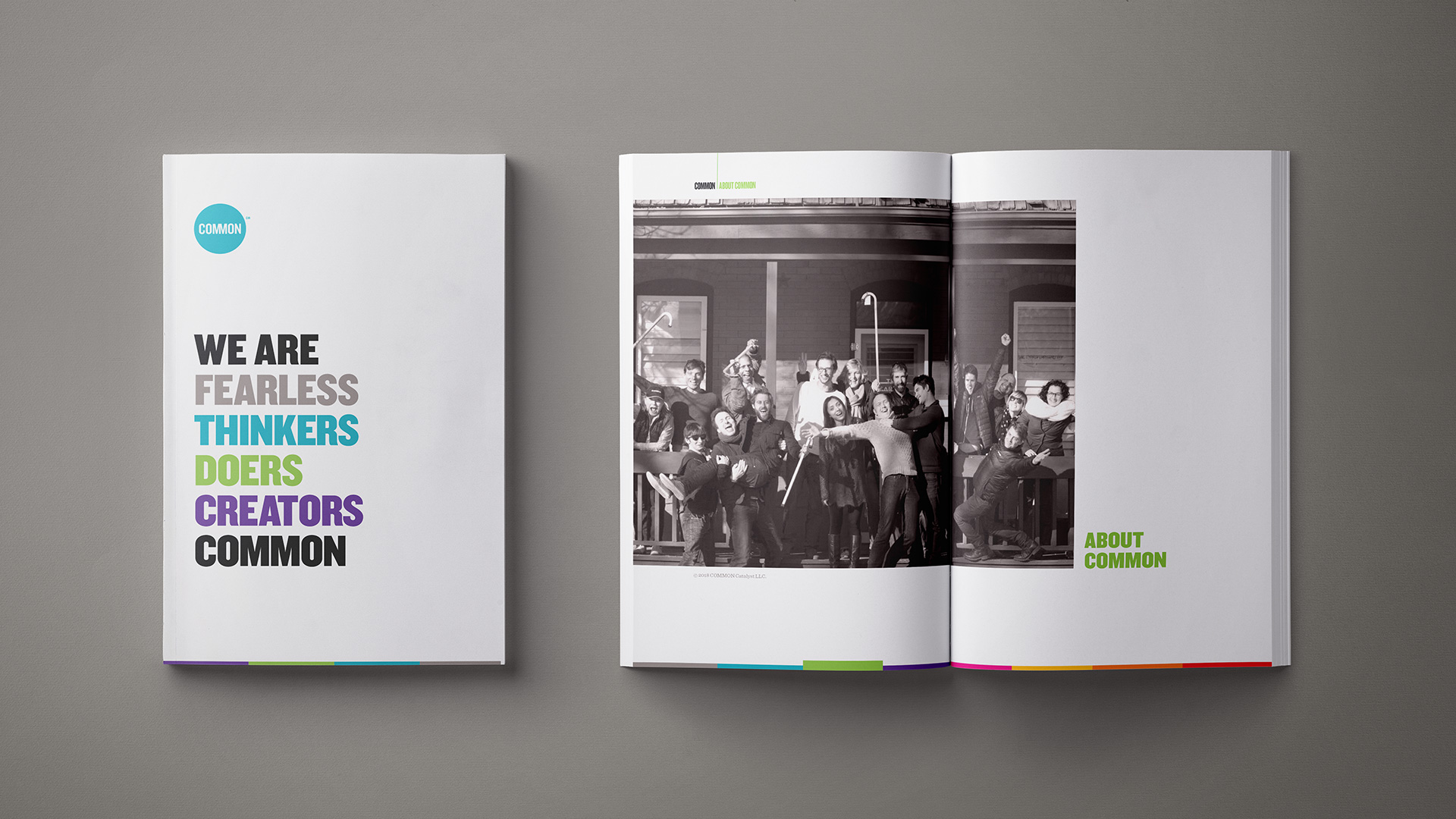 Book cover with open spread